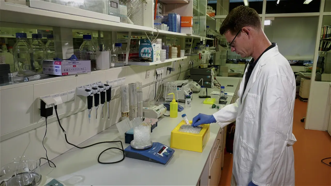 An Improved Method to Isolate Mitochondrial Contact Sites