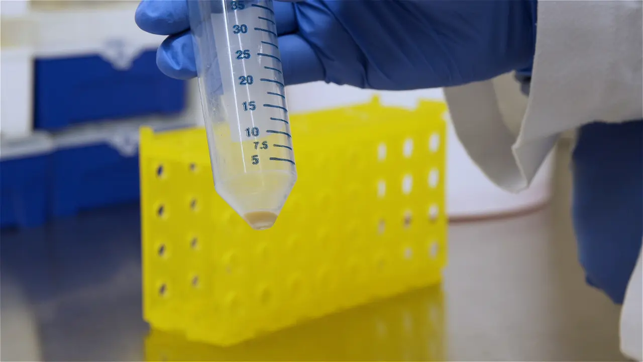 Micro-Colony Forming Unit Assay for Efficacy Evaluation of Vaccines Against Tuberculosis