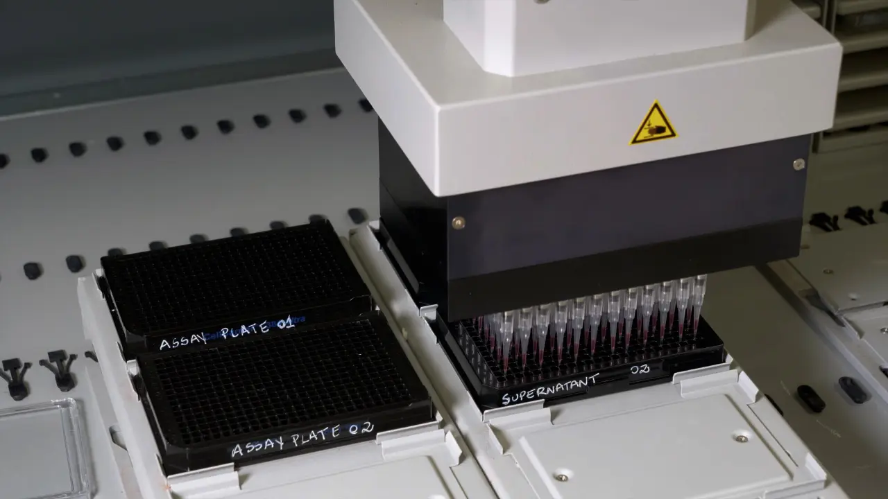 Cell-Based Drug Screening for Inhibitors of Autophagy Related 4B Cysteine Peptidase