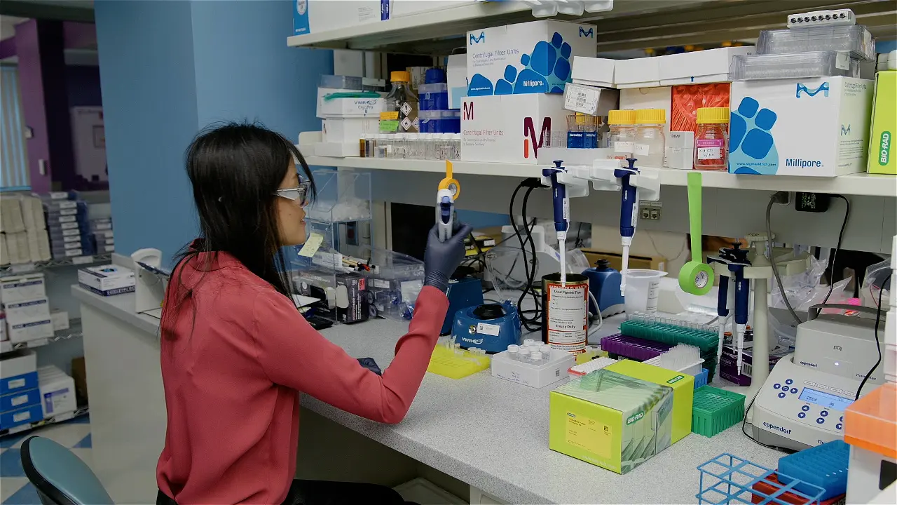 Host Cell Protein Analysis using Enrichment Beads Coupled with Limited Digestion
