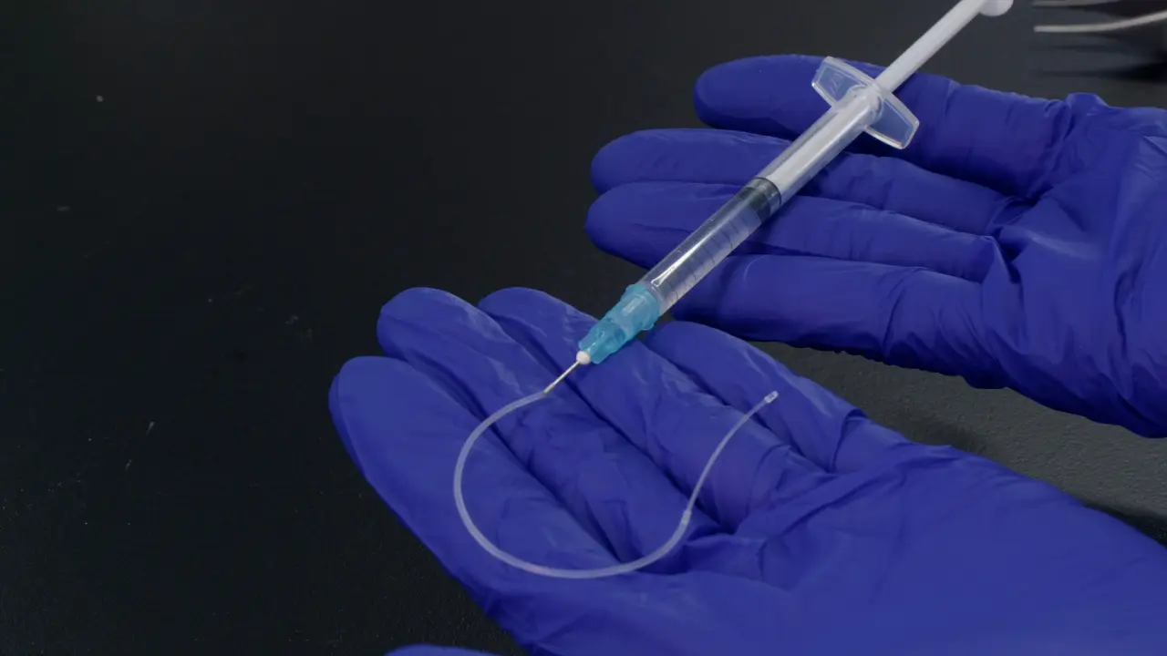 Hyperglycemic Clamp and Hypoglycemic Clamp in Conscious Mice