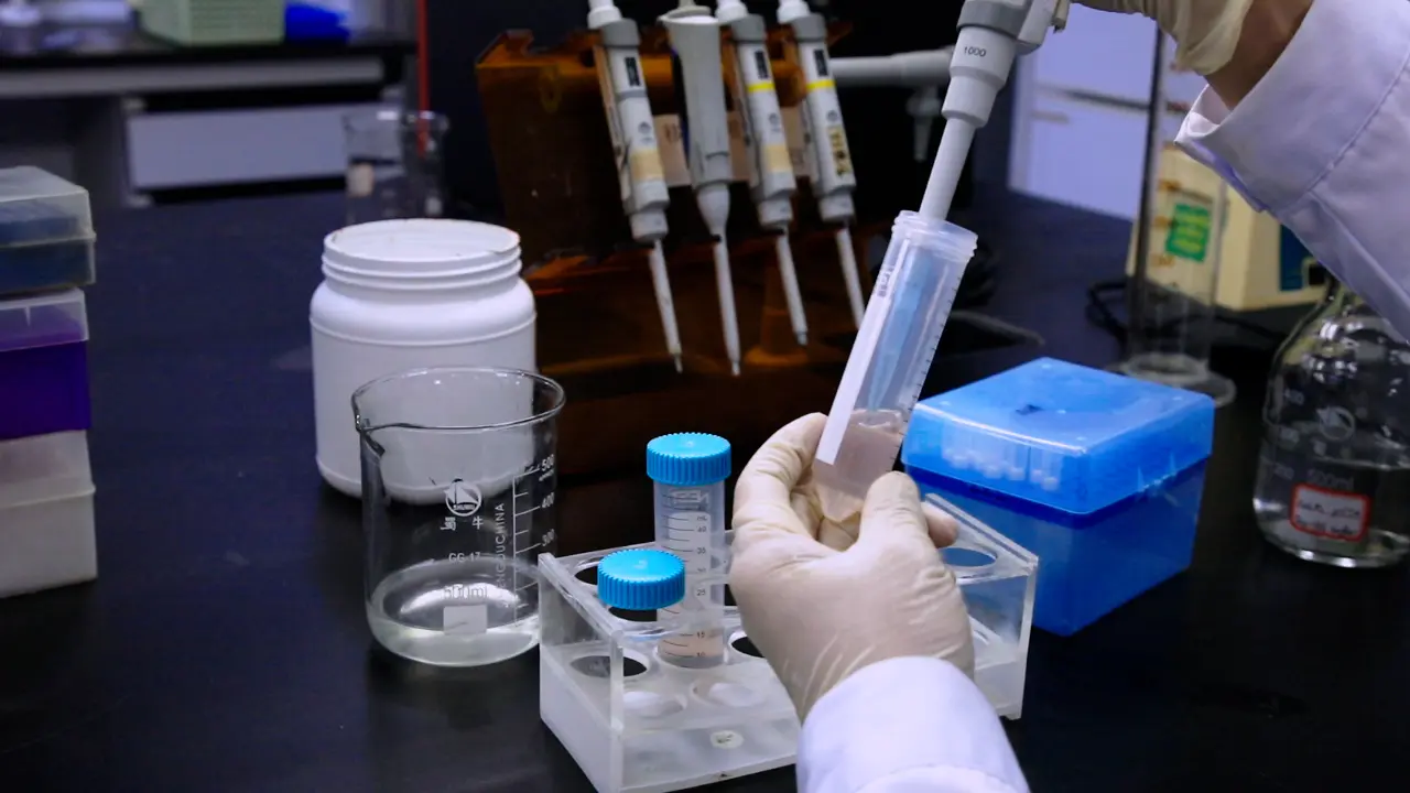 Affinity Purification of a Fibrinolytic Enzyme from <em>Sipunculus nudus</em>