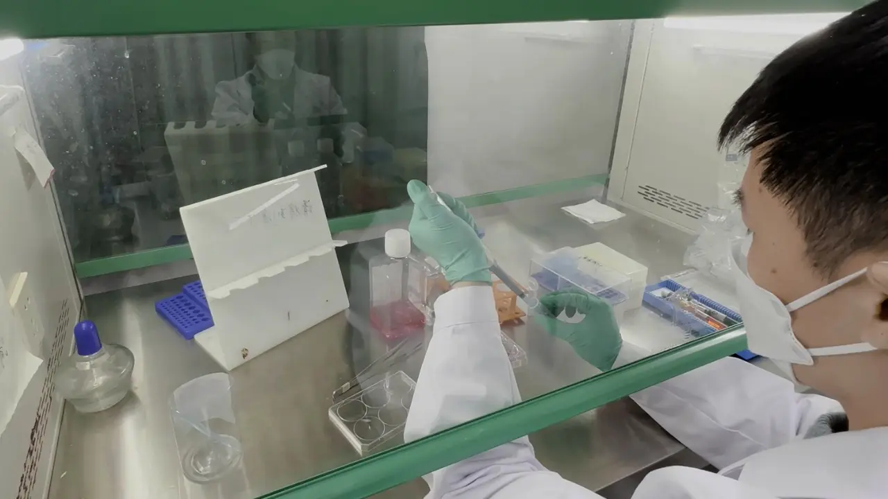 Knockdown of <em>FAM83A</em> to Verify Its Role in Cervical Cancer Cell Growth and Cisplatin Sensitivity