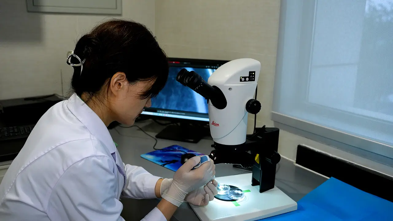 Isolation and Culture of Primary Cochlear Hair Cells from Neonatal Mice