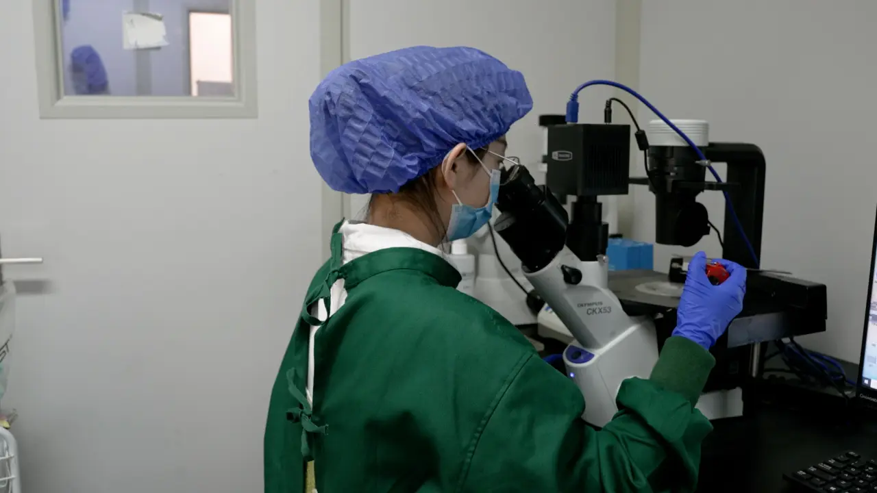 Generating Kidney Organoids in Suspension from Induced Pluripotent Stem Cells