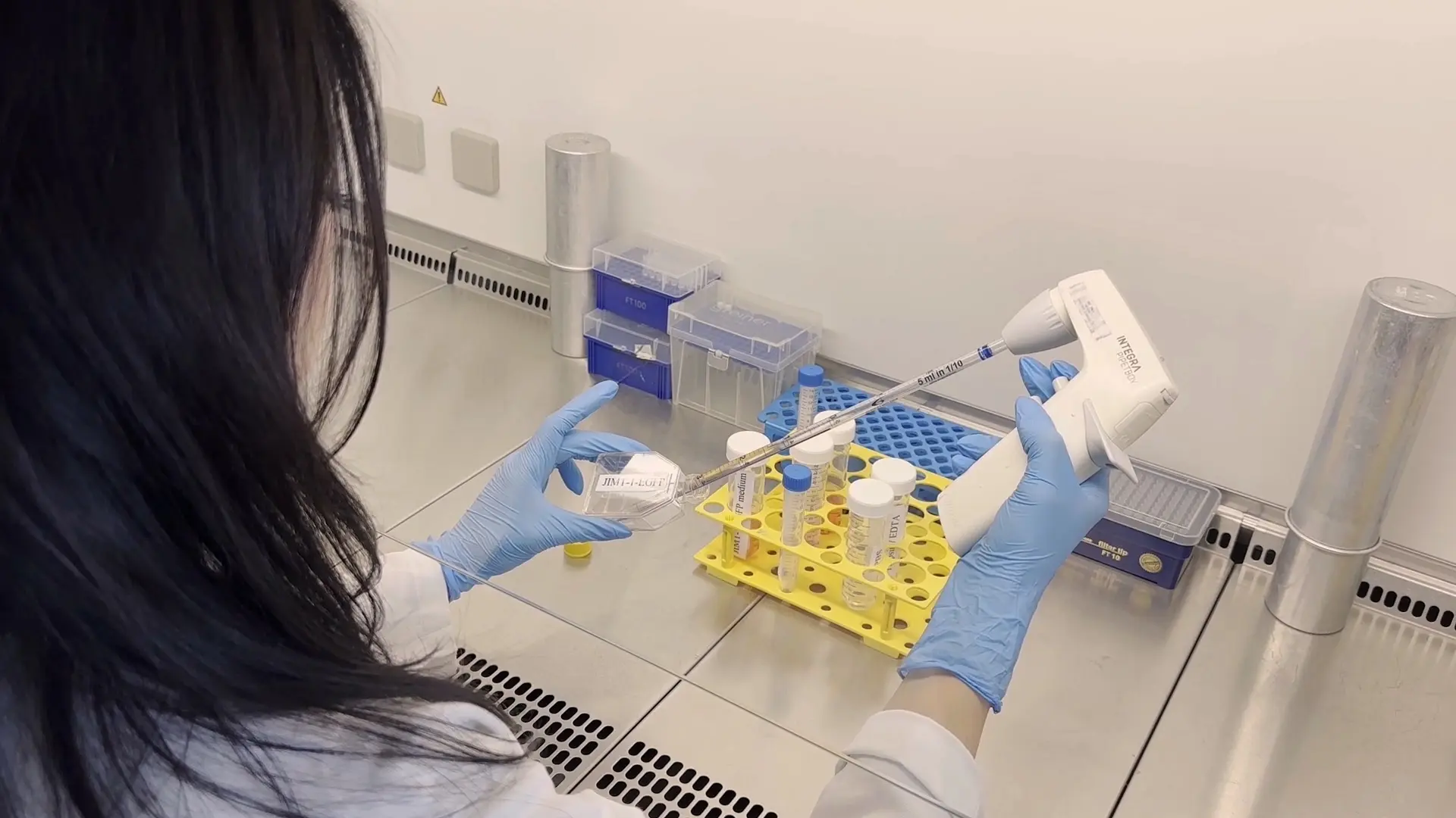 Quantifying Antibody-Dependent Cellular Cytotoxicity in a Tumor Spheroid Model: Application for Drug Discovery