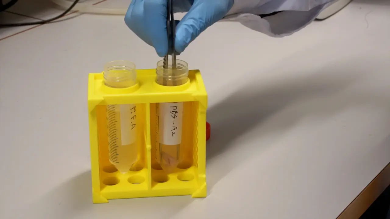 Automated Vibratome Sectioning of Agarose-Embedded Lung Tissue for Multiplex Fluorescence Imaging