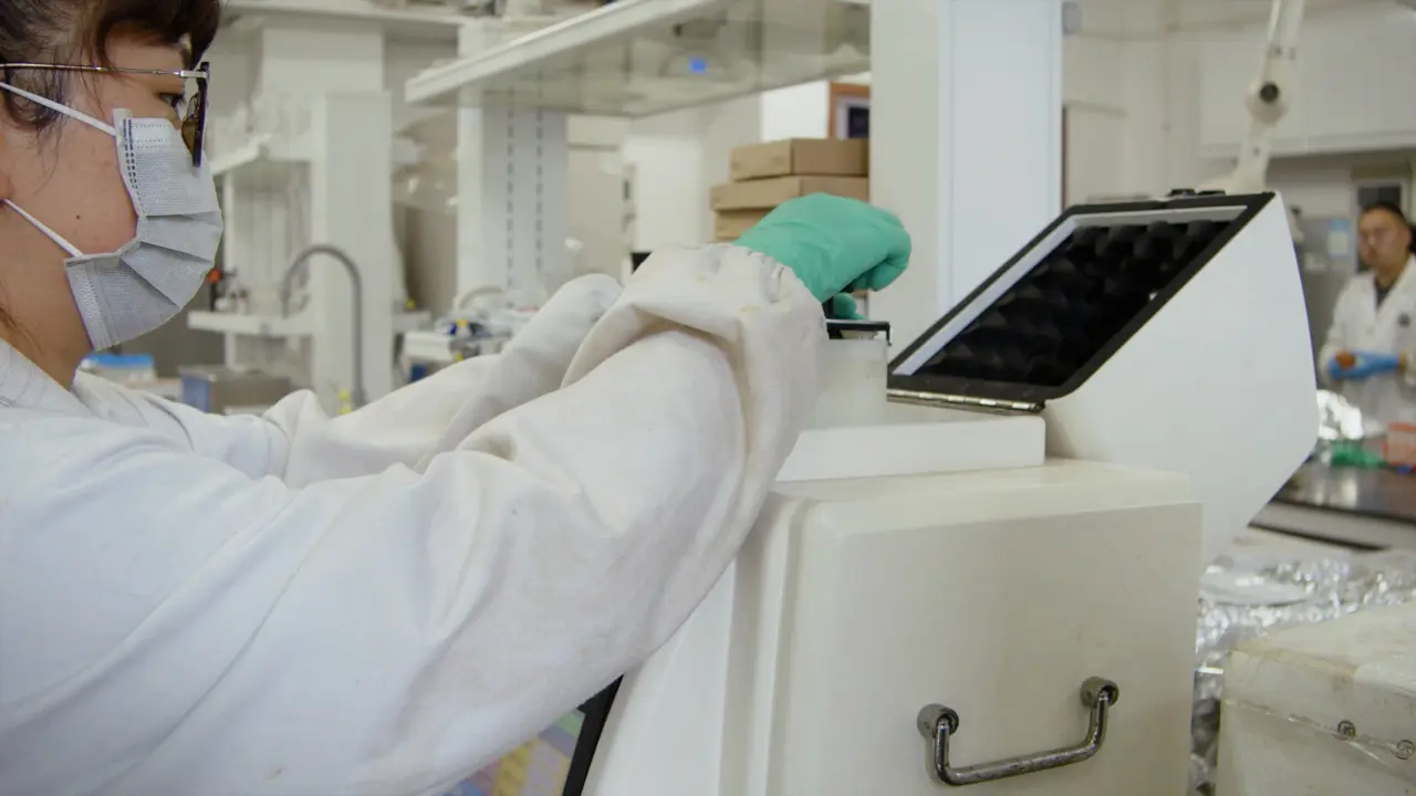Assessing Cytotoxicity of Metabolites of Typical Triazole Pesticides in Plants