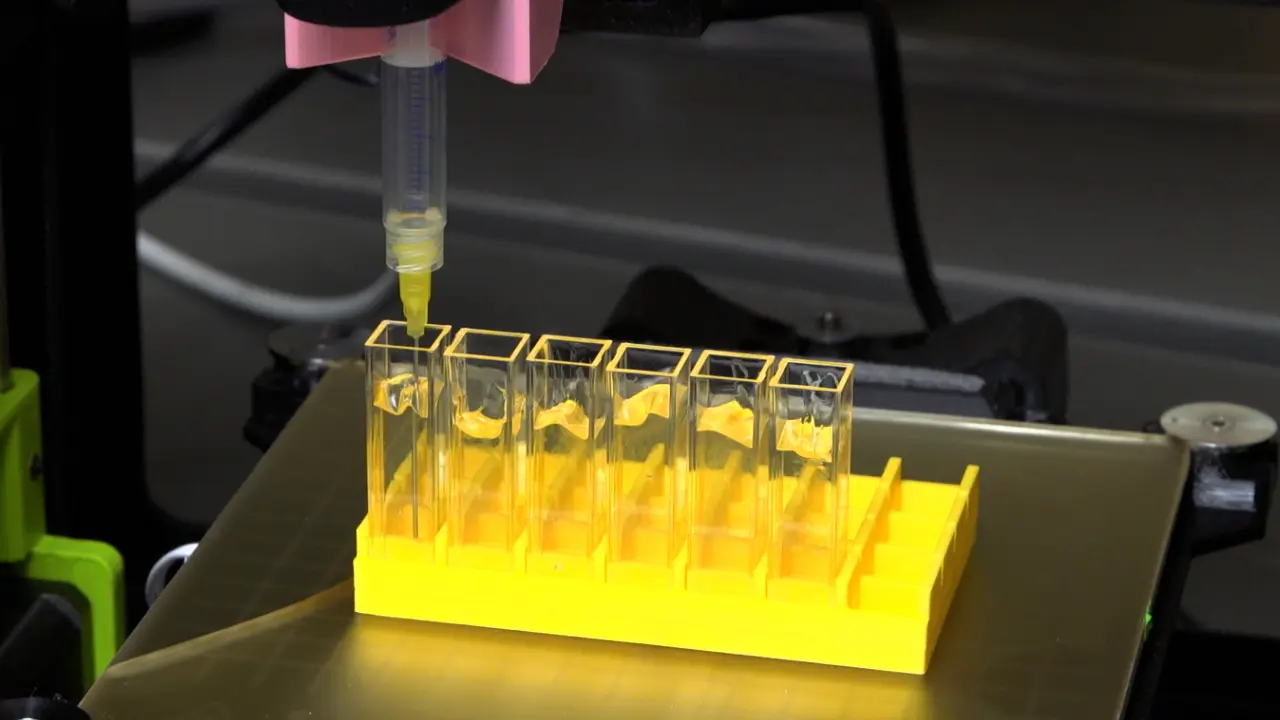 3D Printing Bacteria to Study Motility and Growth in Complex 3D Porous Media