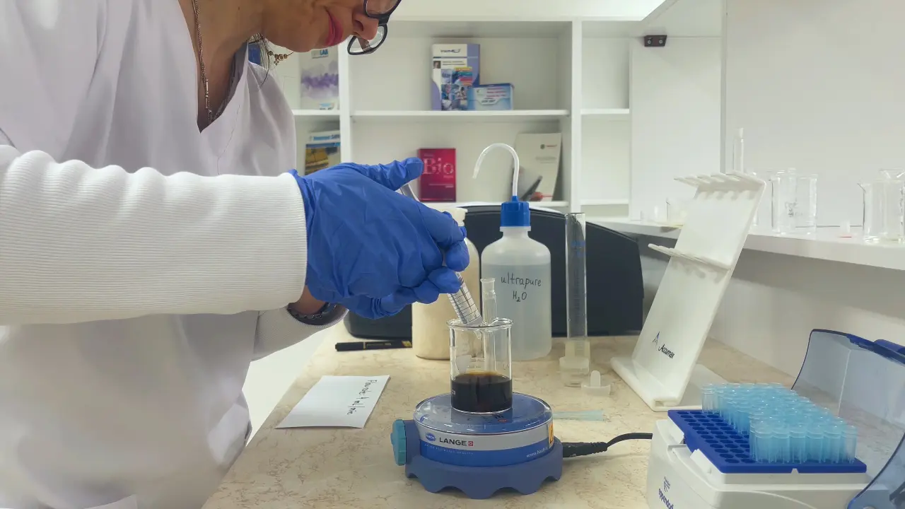 Green Synthesis, Characterization, Encapsulation, and Measurement of the Release Potential of Novel Alkali Lignin Micro-/Submicron Particles