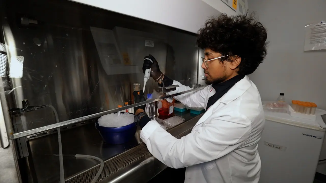 In Vitro Cultivation Techniques for Modeling Liver Organogenesis, Building Assembloids, and Designing Synthetic Tissues using Human Cell Lines