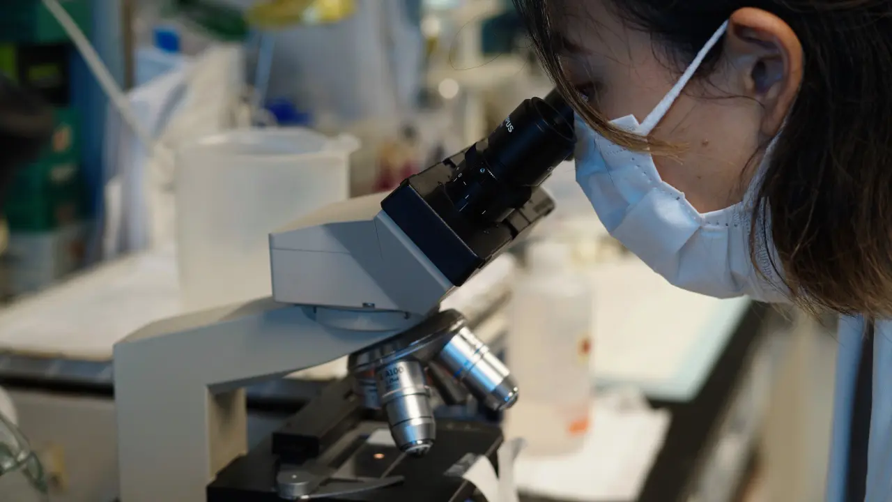 Establishment of an Experimental Mouse Model of Endometrioma to Study its Related Infertility