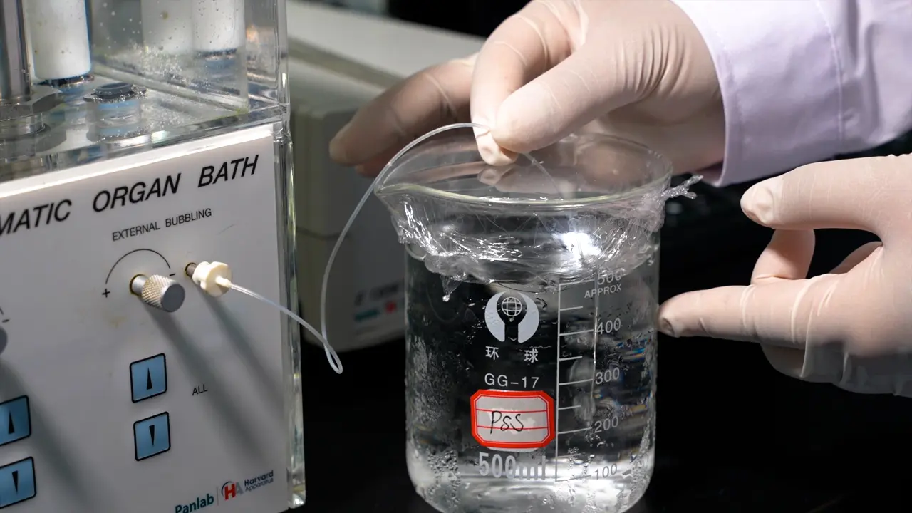 Using An In Vitro Tissue Perfusion System to Detect the Functional Activities of Isolated Intestinal Tubes in Real Time
