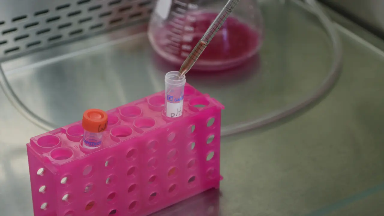 Measuring Dynamic Glycosomal pH Changes in Living <i>Trypanosoma brucei</i>