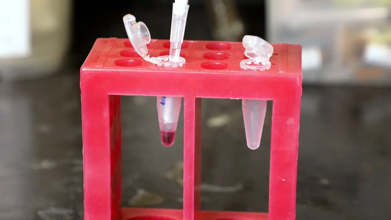 AQRNA-seq for Quantifying Small RNAs
