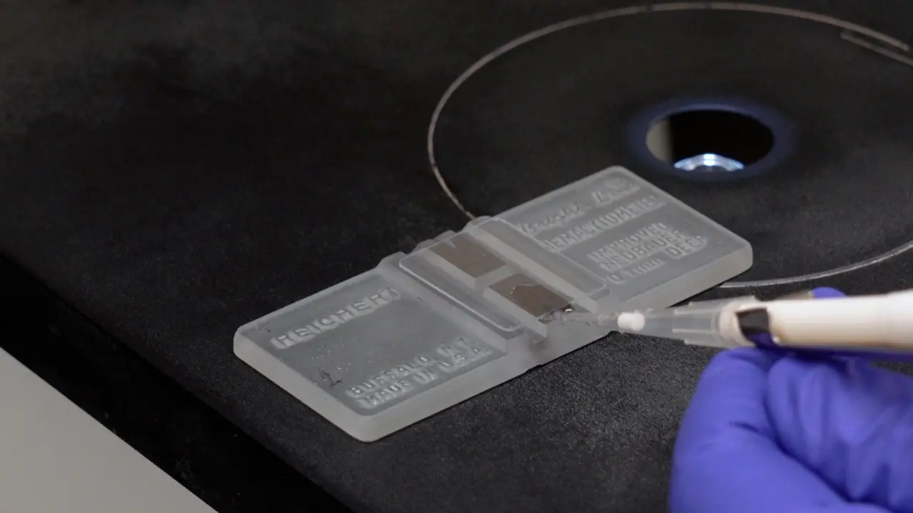 A Dorsal Skinfold Window Chamber Tumor Mouse Model for Combined Intravital Microscopy and Magnetic Resonance Imaging in Translational Cancer Research