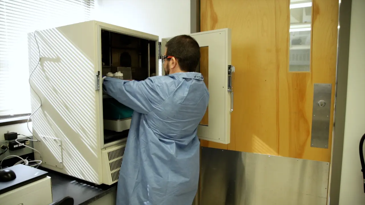 Detection and Isolation of <i>Campylobacter </i> spp. from Raw Meat
