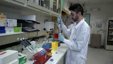 In Vitro Culturing Technique for Studying Cellular Dynamics in Zebrafish Scales