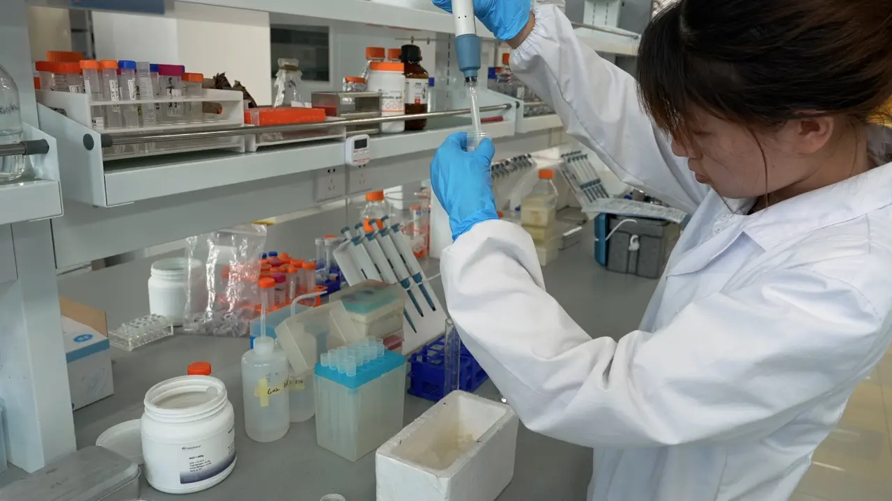 Cell-Free Protein Synthesis System for Building Synthetic Cells