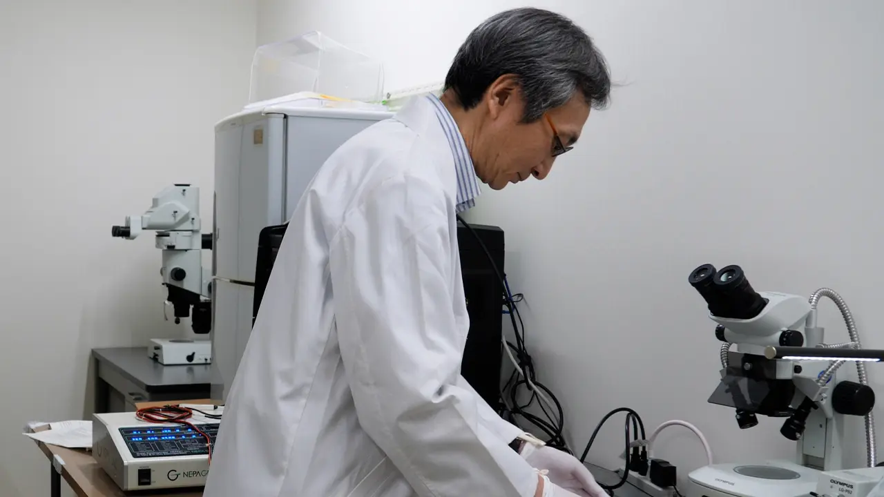 Time-Lapse Imaging of Migrating Neurons and Glial Progenitors in Embryonic Mouse Brain Slices