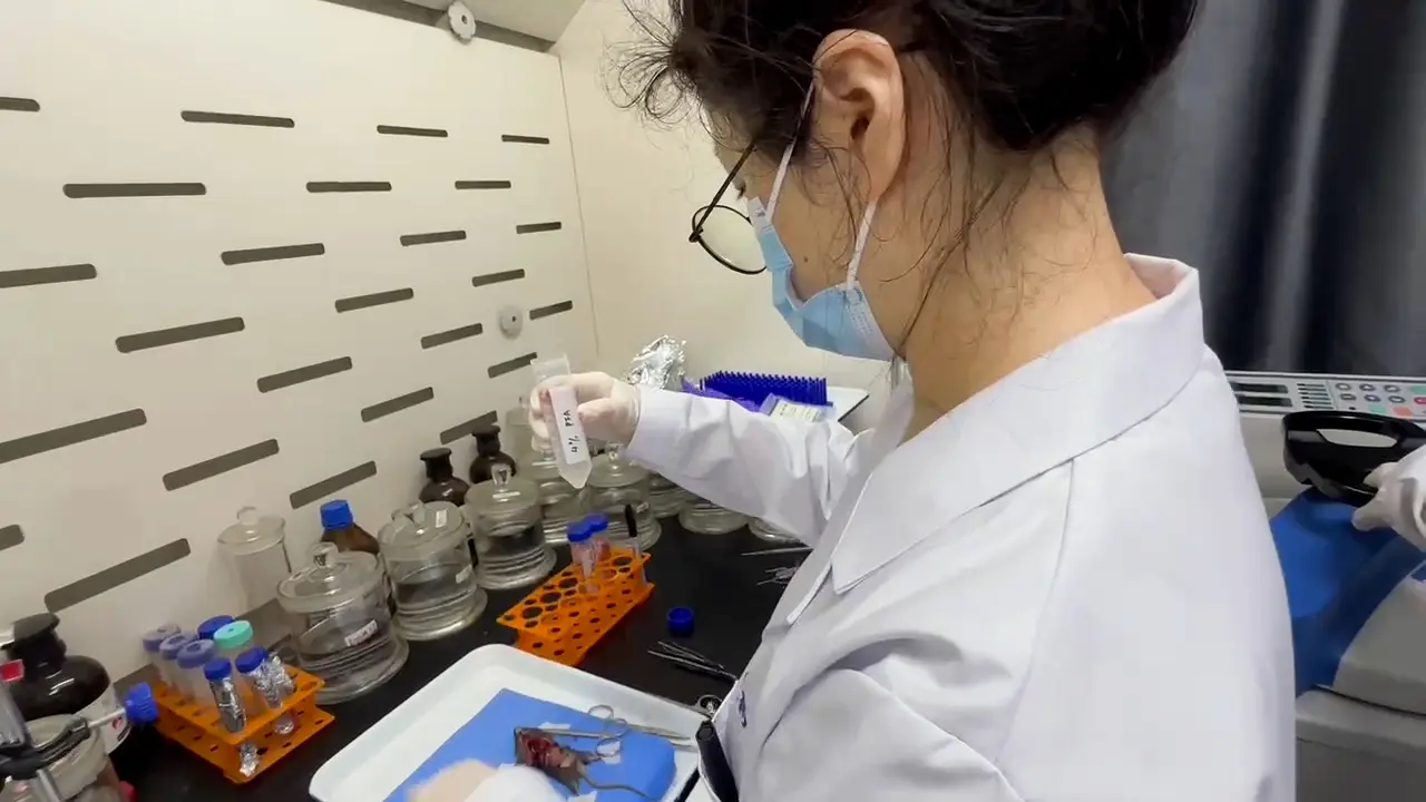 Quantifying Pulmonary Microvascular Density in Mice Across Lobules