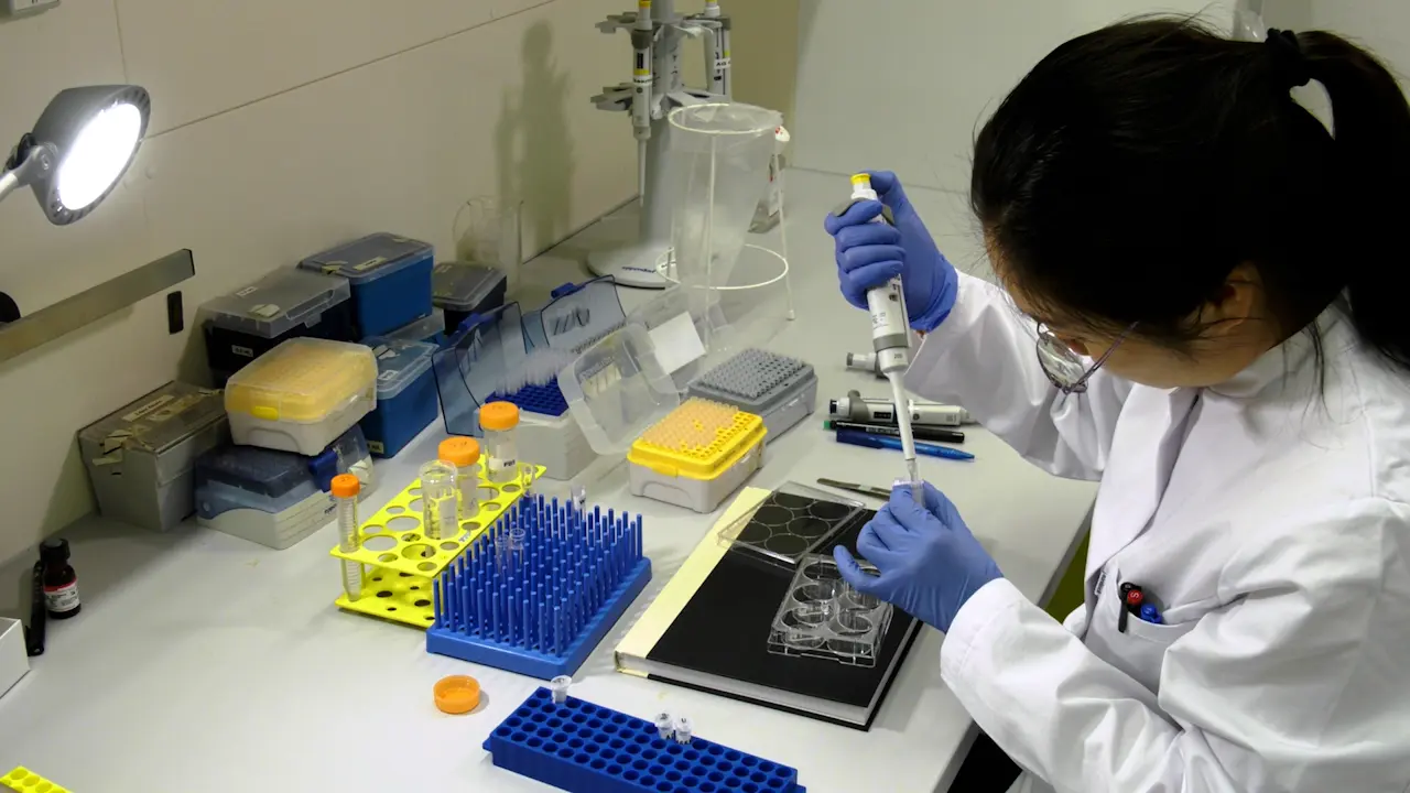 An In Vitro Assay to Study Platelet Migration Using RGD-Functionalized Avidin-Biotin Tethers