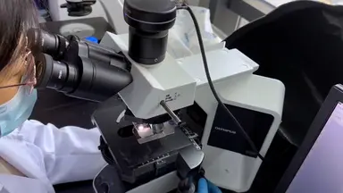 Measuring Carbon Content in Airway Macrophages Exposed to Carbon-Containing Particulate Matters