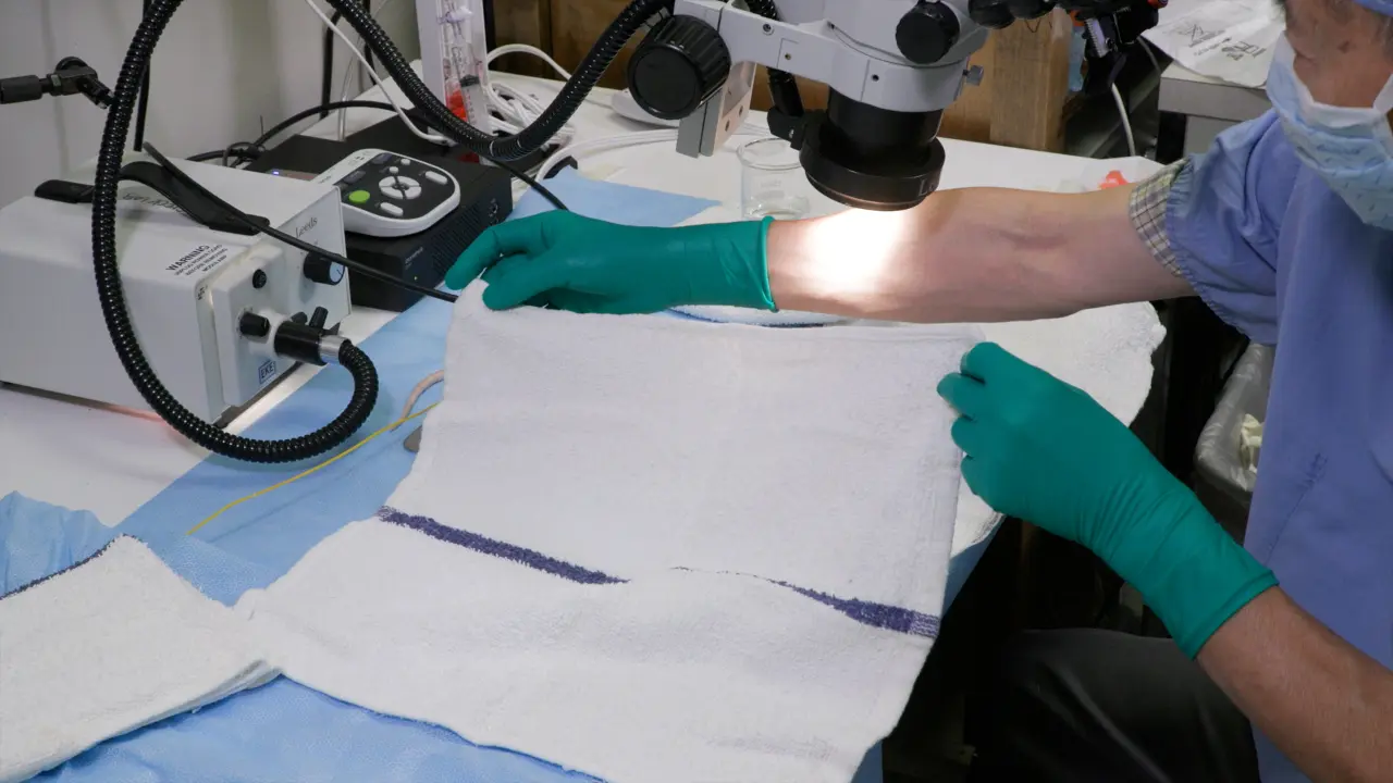 Assessing Functional Recovery of Eupneic Diaphragm Activity Following Unilateral Cervical Spinal Cord Hemisection in Rats