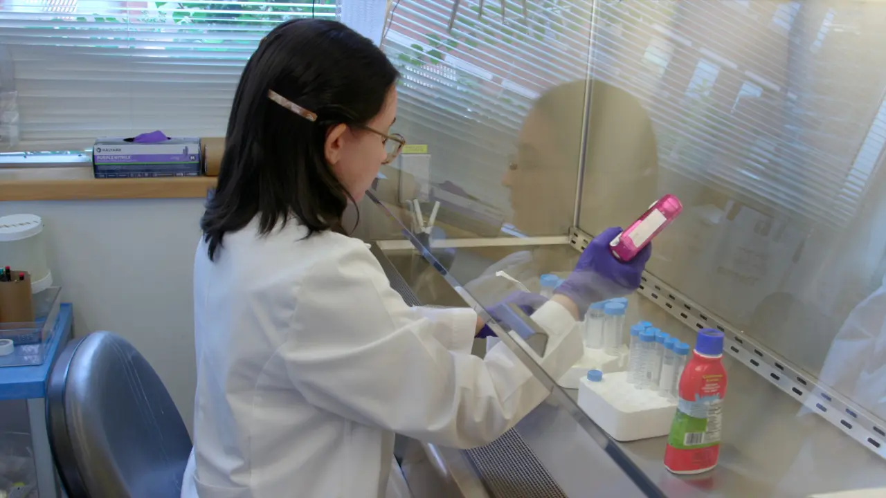 Use of Micropipette-Guided Drug Administration as an Alternative Method to Oral Gavage in Rodent Models