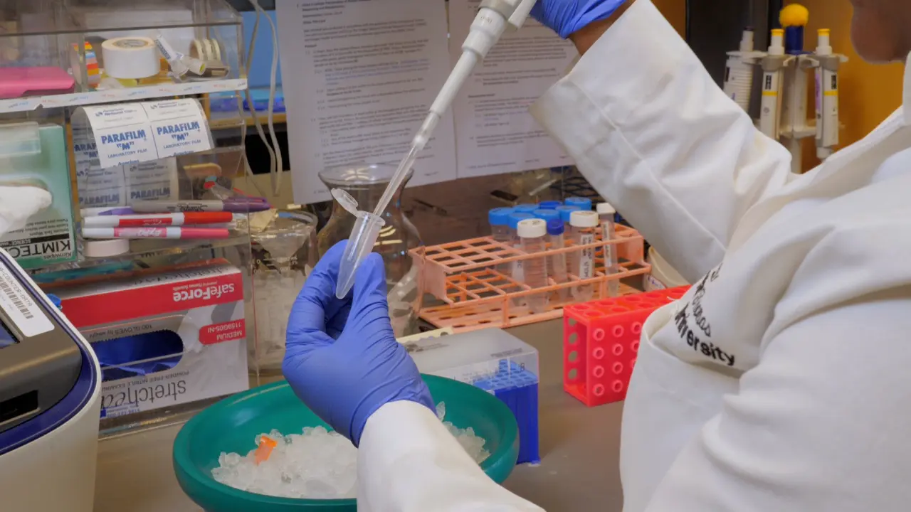 Preparation of Frozen Non-Human Primate Fetal Islets for Combined Single Nuclei RNA-Sequencing and ATAC-Sequencing, and Bulk Metabolomics