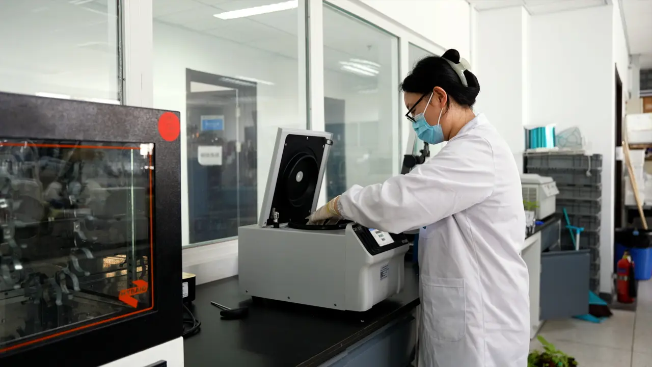 Apoplast-Extraction Based Method to Improve the Purity of Plant Produced Recombinant Protein