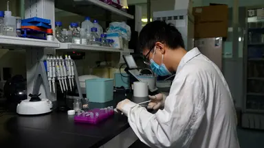Application of DNA Barcoding to Identify Medicinal Plants