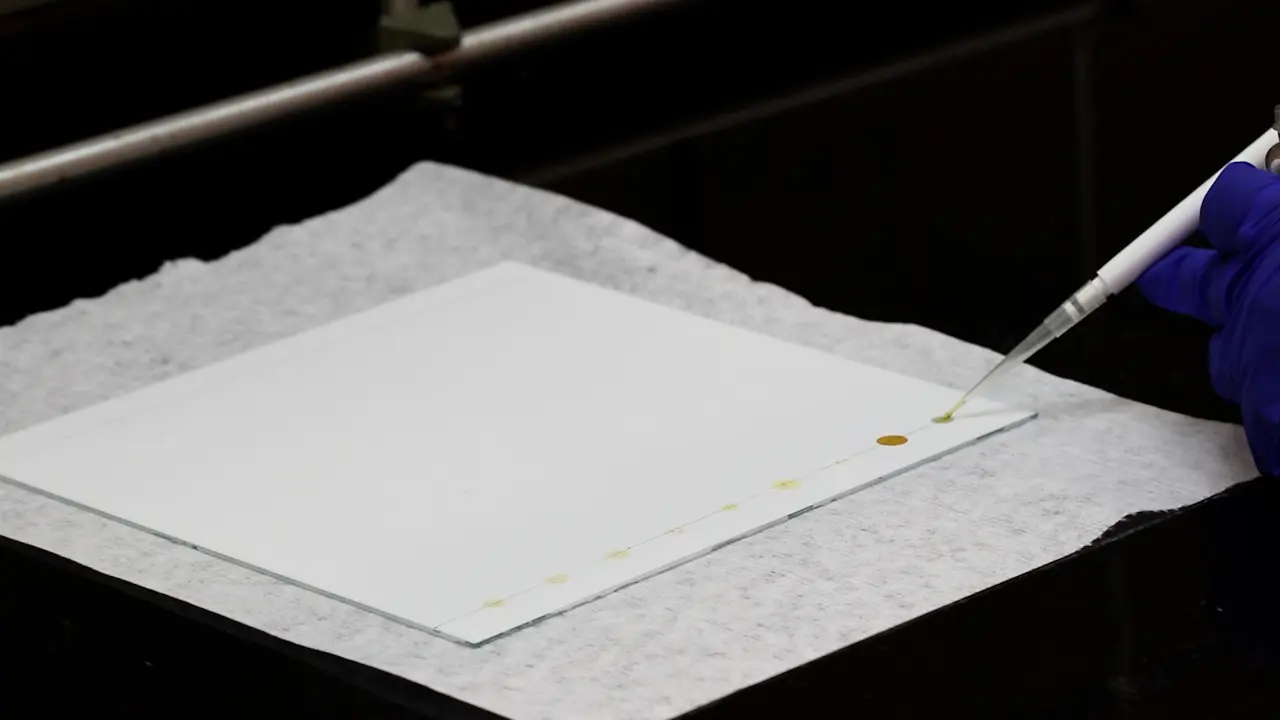 Bioassay-Guided Identification of Natural Products for Biocontrol by Thin Layer Chromatography-Direct Bioautography
