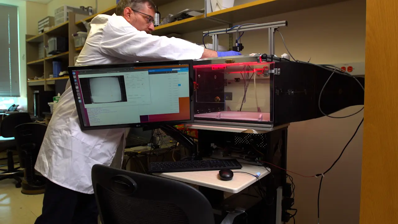 Miniscope Recording Calcium Signals at Hippocampus of Mice Navigating an Odor Plume