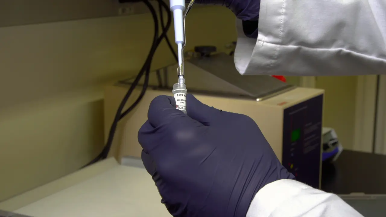 CIRCLE-Seq for Interrogation of Off-Target Gene Editing