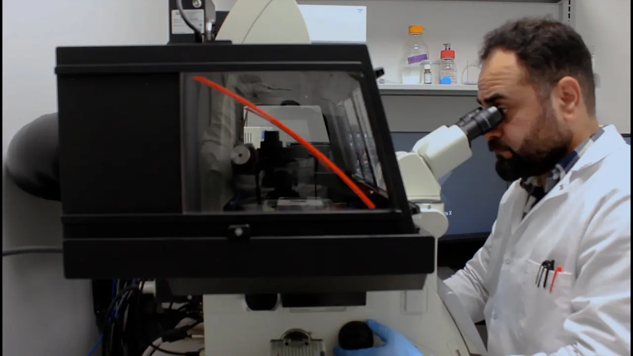 Determining Ciliary Function and Membrane Impermeability of the Pseudostratified Lung Airway Epithelium