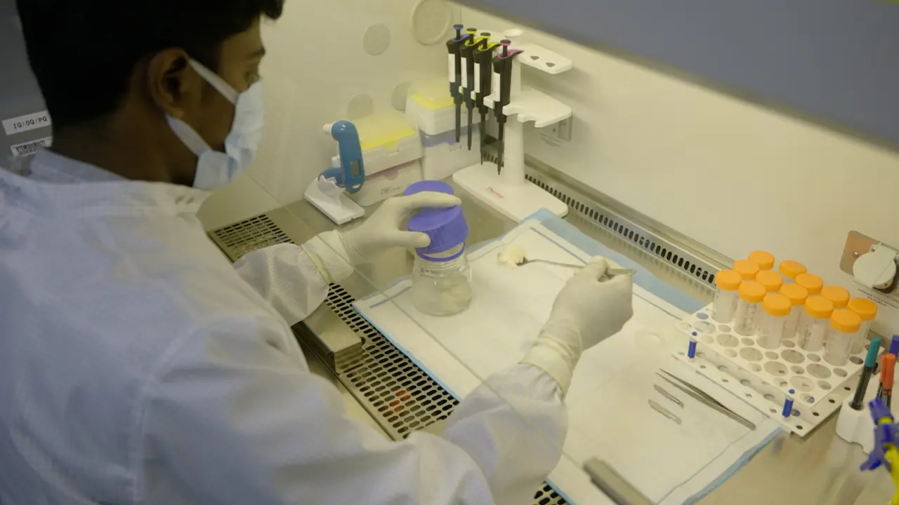 Isolation of Chondrocytes and Chondroprogenitors Using Fibronectin Adhesion and Migratory Assay