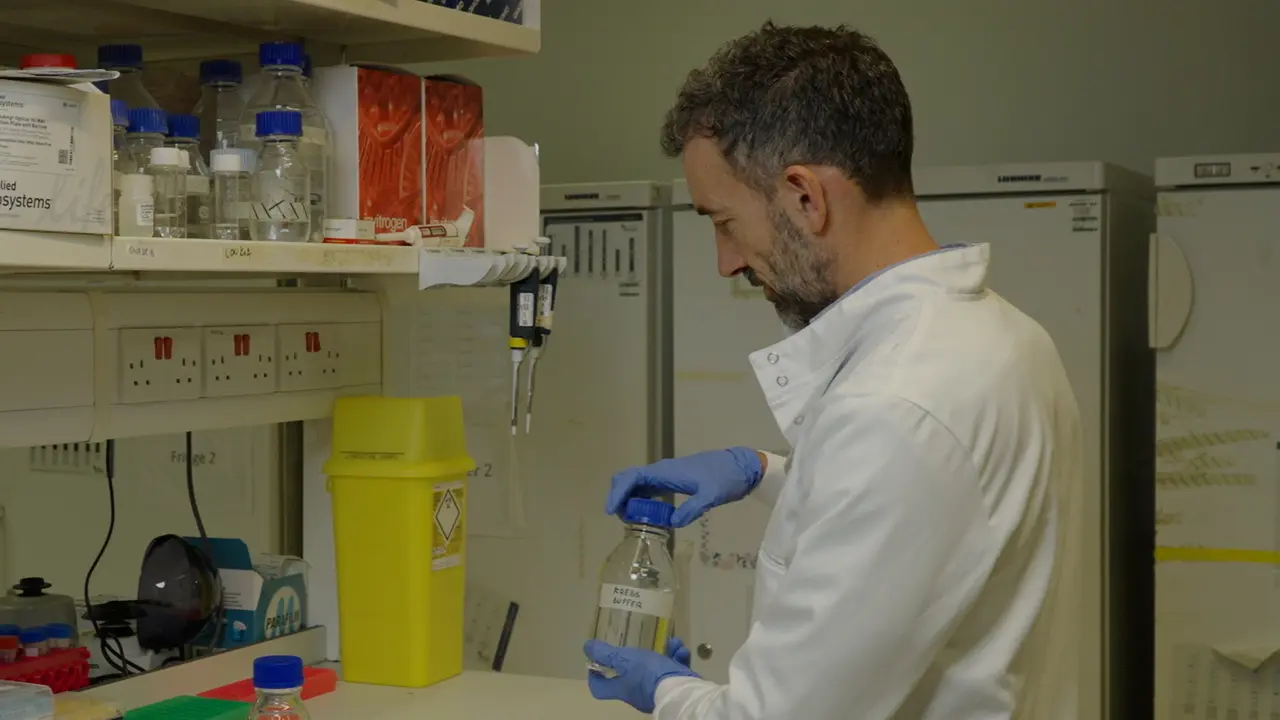Optimized and Simplified Technique for the Production and Culture of Precision-Cut Liver Slices