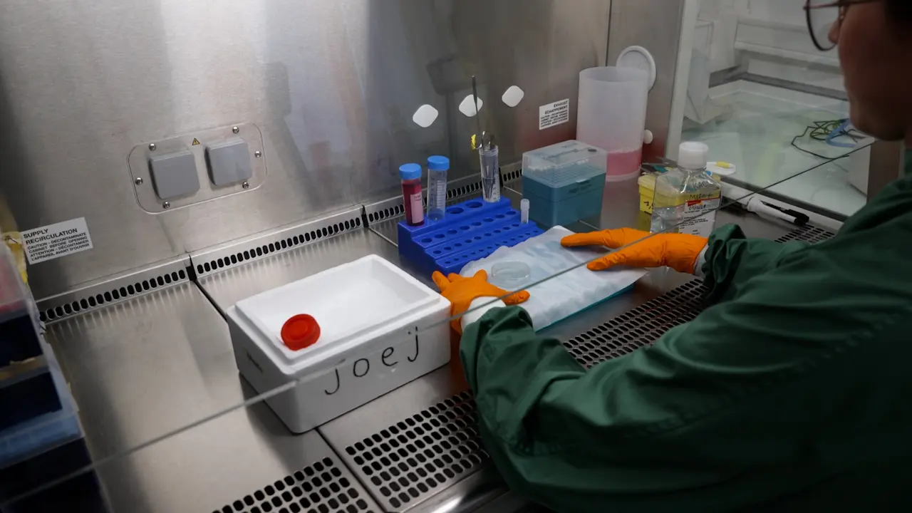 A Protocol for Explant Cultures of IDH1-mutant Diffuse Low-grade Gliomas