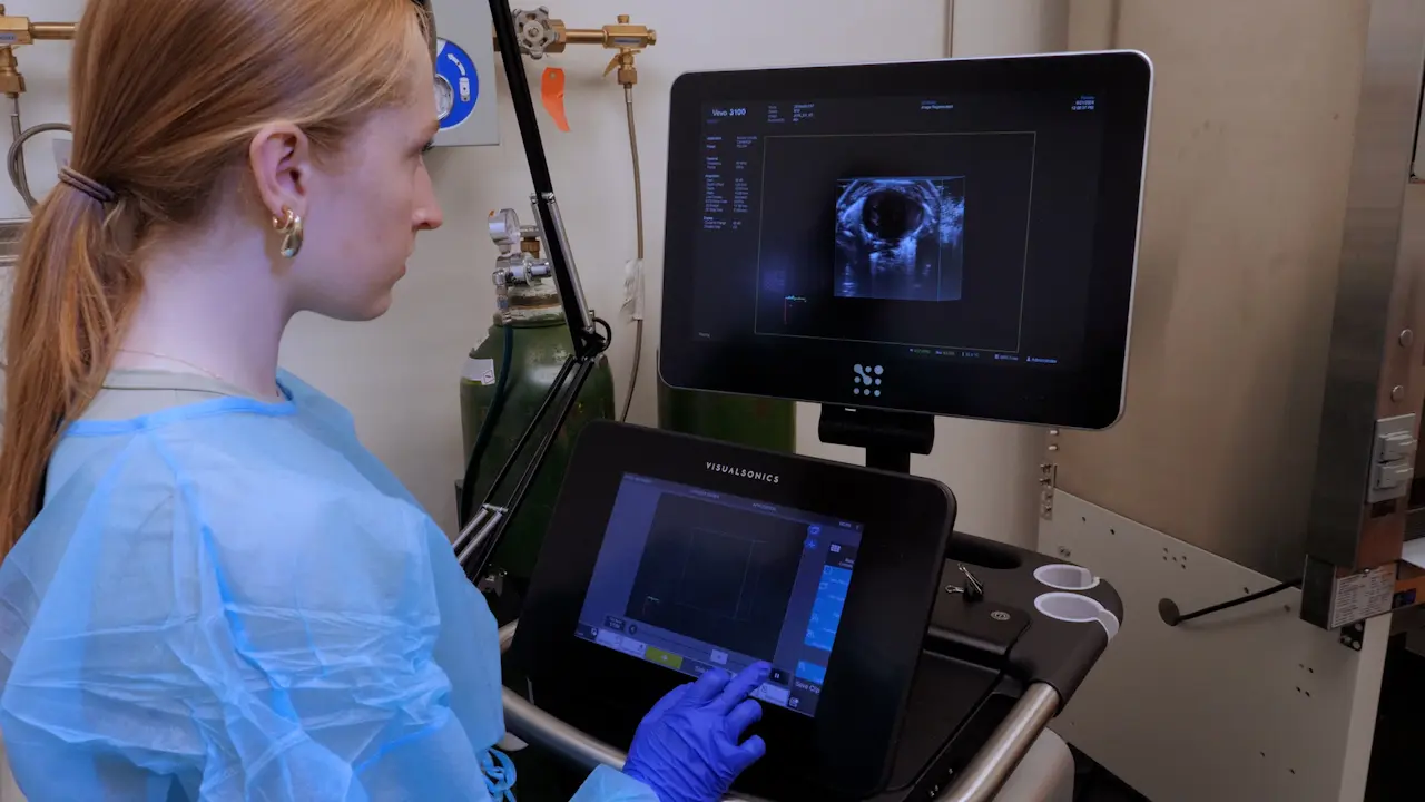 Multimodal Study of Murine Cardiovascular Remodeling: Four-Dimensional Ultrasound and Mass Spectrometry Imaging