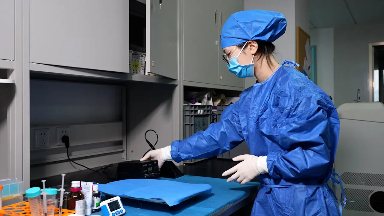 Chessboard-like Burn Wound Healing Model of Mice Based on Digital Heating Device