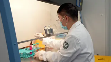 Flow Cytometry-Based Isolation and Therapeutic Evaluation of Tumor-Infiltrating Lymphocytes in a Mouse Model of Pancreatic Cancer