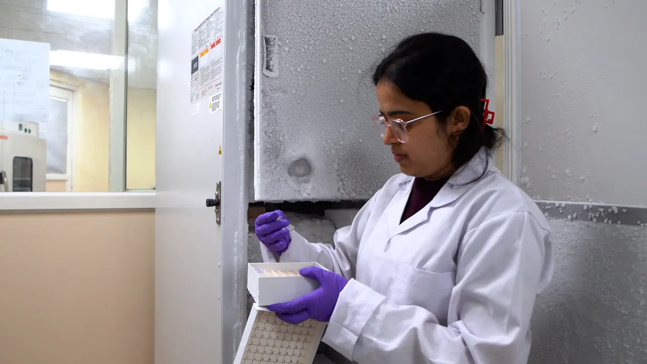 Preparation of <i>Mycobacterium tuberculosis</i> Culture Filtrate to Understand TB Pathogenesis