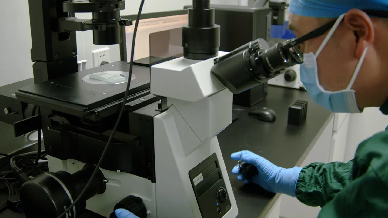 Isolation of Human BAMBI<sup>high</sup>MFGE8<sup>high</sup> Umbilical Cord-Derived Mesenchymal Stromal Cells