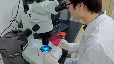 Fluorescence Labeling to Visualize Low-Expressed Proteins in Zebrafish