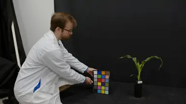 Imaging and Analysis for Quantifying Maize (<em>Zea mays</em>) Abiotic Stress Phenotypes