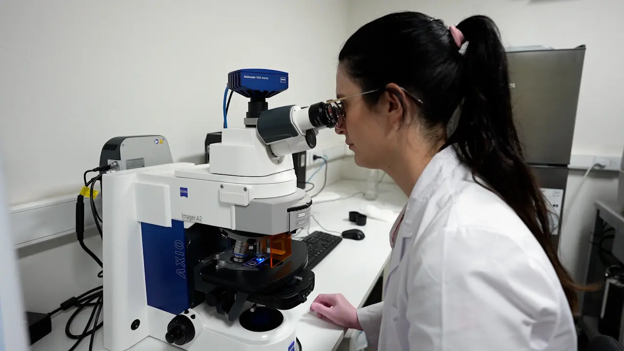Fluorescence Assays for the Study of <em>Mycobacterium tuberculosis</em> Interaction with the Immune Receptor SLAMF1