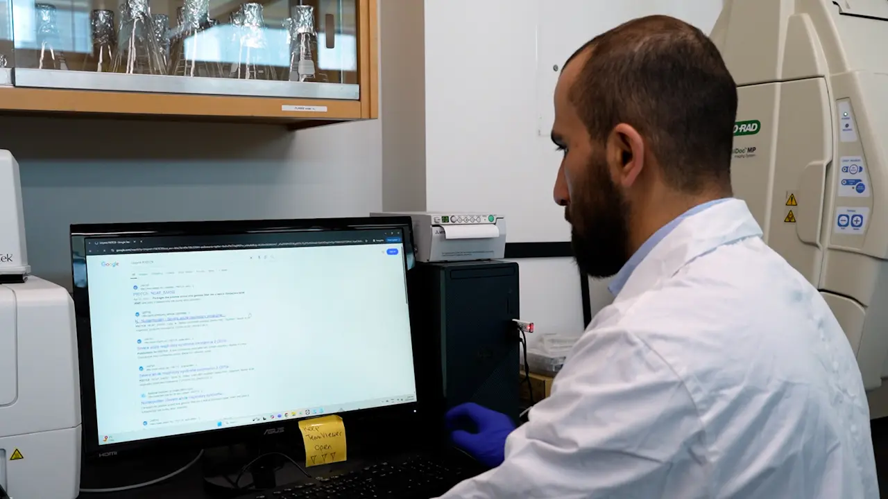 Cell-Free Dot Blot as a Practical and Adaptable Immunoassay Platform for the Detection of Antibody Response in Human and Animal Sera