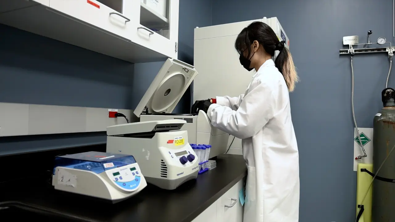 A Simple and Efficient Method for Testing Immunomodulatory Agents for Generation of Tolerogenic Dendritic Cells from Human CD14<sup>+</sup> Monocytes