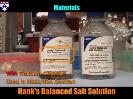 Neutrophil Isolation Protocol
